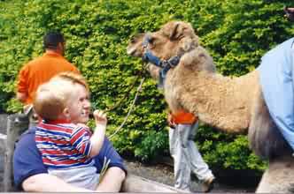 Alexander spots a camel
