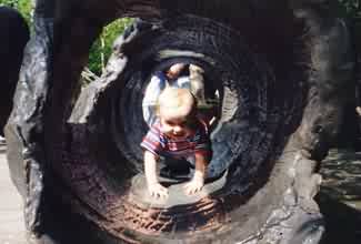 Alexander crawls through a log