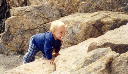 Plenty of rocks to climb on