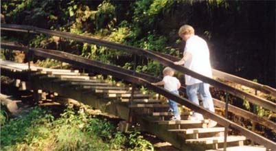 Flume Gorge