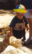 Alex pets a goat